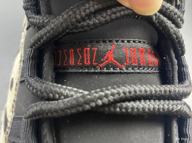 1st Kicks JORDAN AR0715-010 ANIMAL INSTINCT 11 AIR 0808